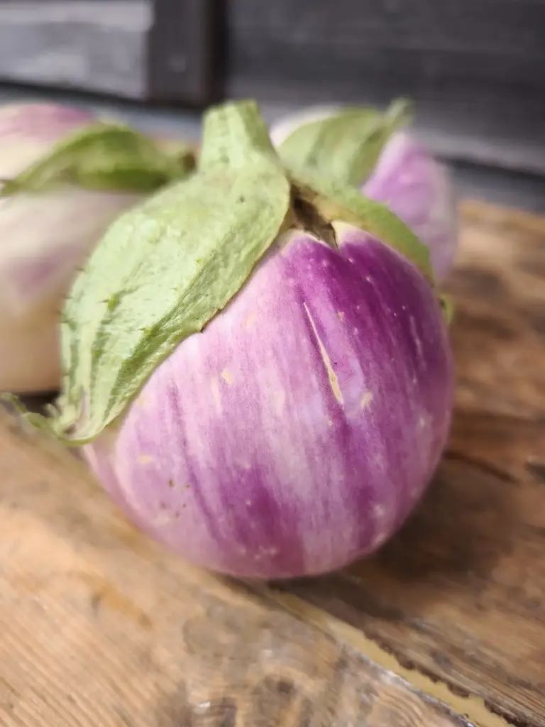 Aubergine rotonda bianca