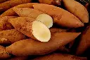Poire de terre 