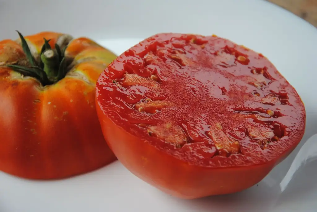 Château de Chartres