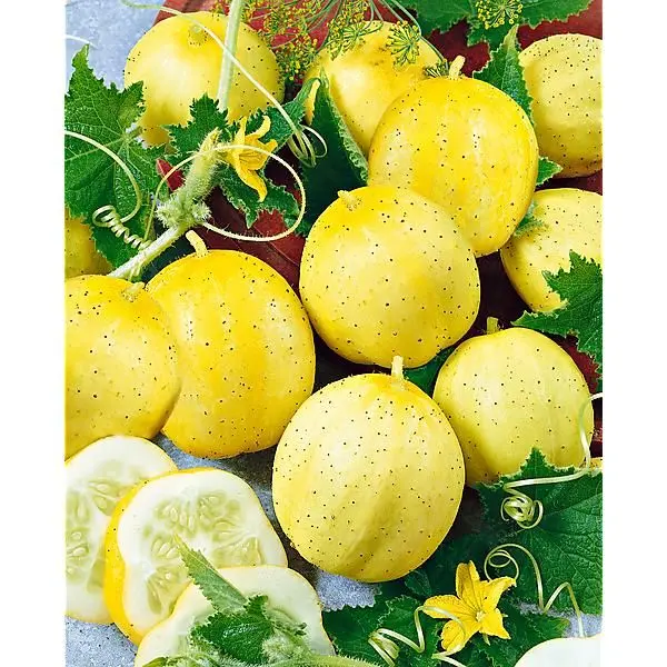 Lemon
