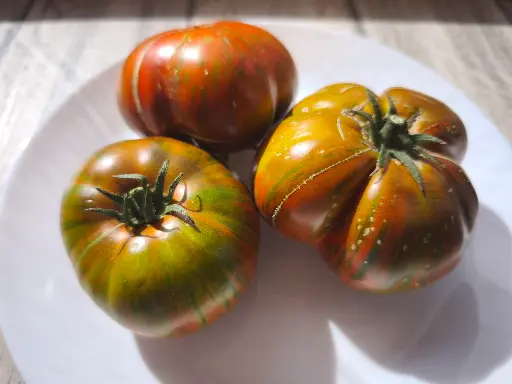 Cherokee lime stripes