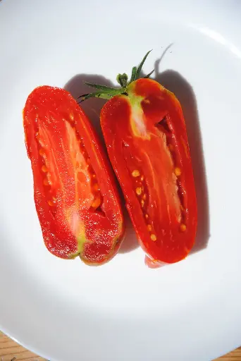 Saint Jean d’Angely